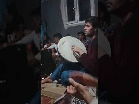 تورجان دوتار