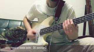 ditto looper bass solo
