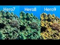 GoPro Hero9 Hero8 Hero7 Underwater Auto White Balance Comparison - GoPro Tip #681 | MicBergsma
