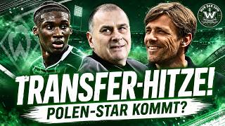 SVW NEWS! WERDER BREMEN TRANSFER HEAT! Coulibaly rumors busted – is the Polish star coming now?