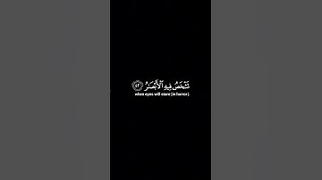 🍃 تلاوة من سورة إبراهيم 🍃 للقارئ عبد الرحمن مسعد🍃#رمضان #رمضان_مبارك #رمضانيات #تلاوات #تلاوة_خاشعة