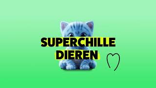 Super Chill - Meditatie voor kinderen - Superchille dieren