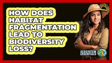 How Does Habitat Fragmentation Lead to Biodiversity Loss?