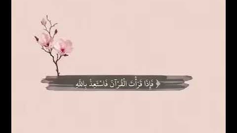 قرآن كريم بصوت عبد الرحمن مسعد - حالات واتس اب دينية