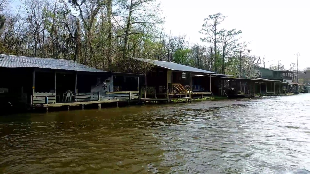 Honey Island Swamp Tour YouTube