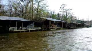 Honey Island Swamp Tour