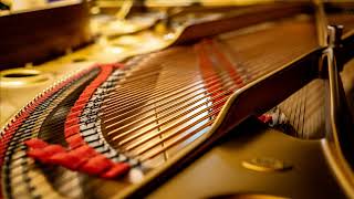 15 Original variations on a Theme by Beethoven