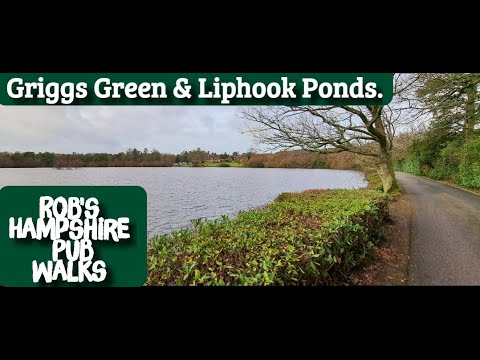 #82 Rob's Hampshire Pub Walks Griggs Green & Liphook Ponds