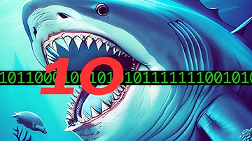 Top 10 Wireshark Filters for Beginners (Latest Wireshark) – Master Network Analysis Like a Pro!