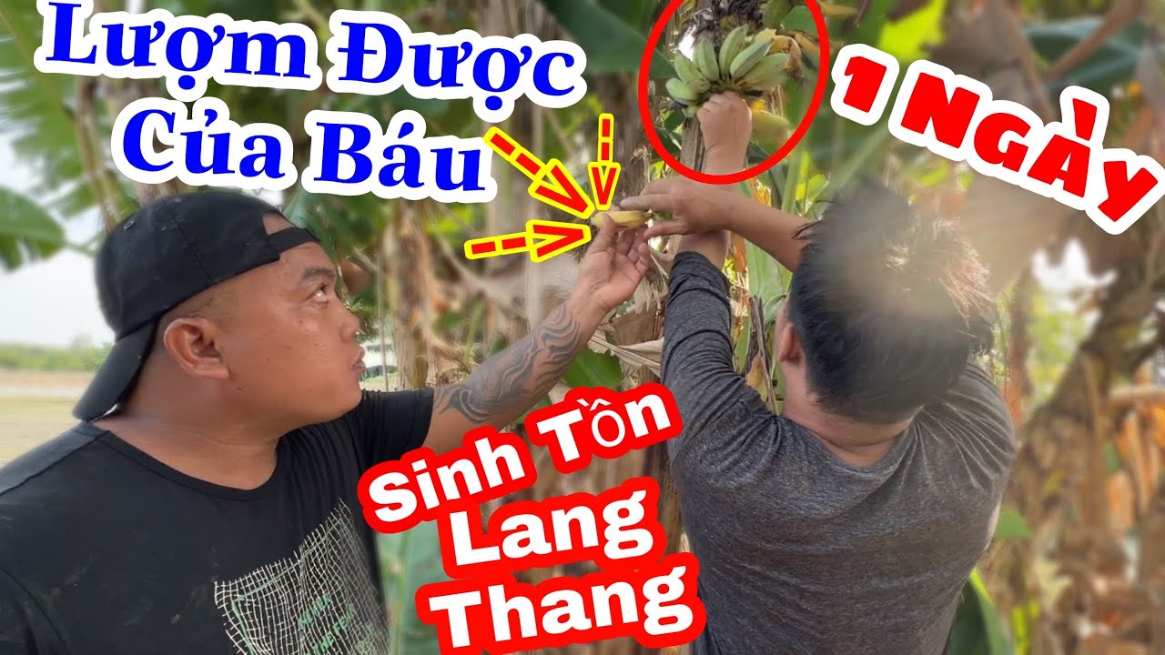 TXVL - Thánh Xàm Thử Thách Sinh Tồn Lang Thang 1 Ngày Không Ngờ Lượm Được Của Báu