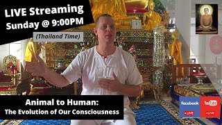 (Group Learning Program) - Chapter 20 - Animal to Human: The Evolution of Our Consciousness