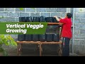 Vertical Veggie Growing: A Simple Methode Gardening Vegetable.