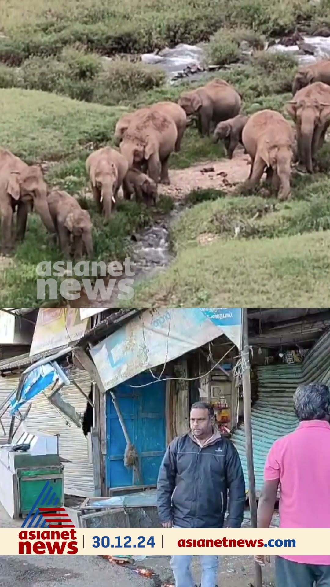 തമിഴ്നാട് വാൽപ്പാറ മുടിസ് ബസാറിൽ കാട്ടാന കൂട്ടമിറങ്ങി; പ്രദേശത്തെ കടകൾ തകർത്തു