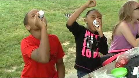 Reducing the summer brain drain