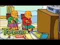 The Berenstain Bears Out For The Team Count Their Blessings Ep 7