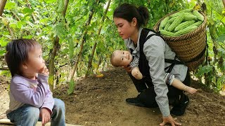 Single Girl: Harvesting Bitter Melon and Going to the Market to Sell | Happiness with two children