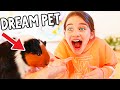 NAZ FINDS OUT SHE GETS A GUINEA PIG FOREVER w/the Norris Nuts