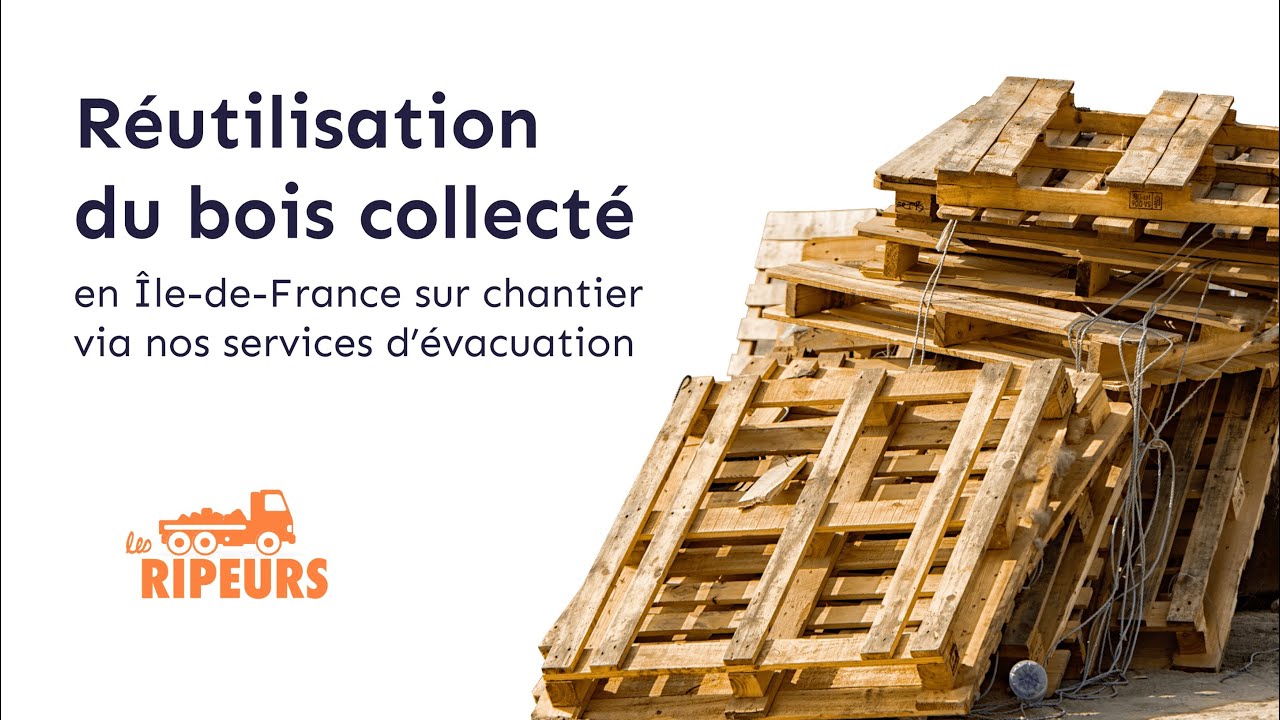 Réutilisation du bois collecté ♻️