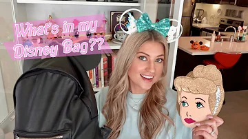 Does Disney World check your bags?