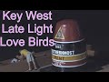 Key west  late night love birds  53123