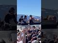 Crazy mountain popup w Levity