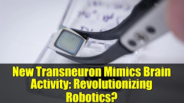 New Transneuron Mimics Brain Activity: Revolutionizing Robotics?