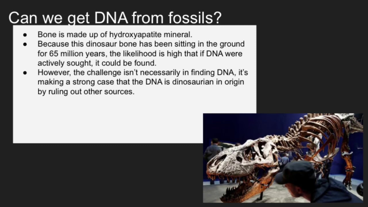 Dino DNA project YouTube