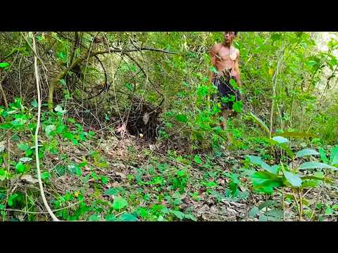 პრიმიტიული ტექნოლოგიით ნაშენი სახლები