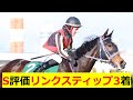【桜花賞 全頭診断 2025】A⇨A⇨S決着！S評価リンクスティップ3着！