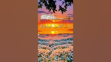 Surah Al-Asr by Sheikh Al-Minshawi سورة العصر #اكسبلور #quran #قرآن #المنشاوي #الجزائر #islam #fypシ