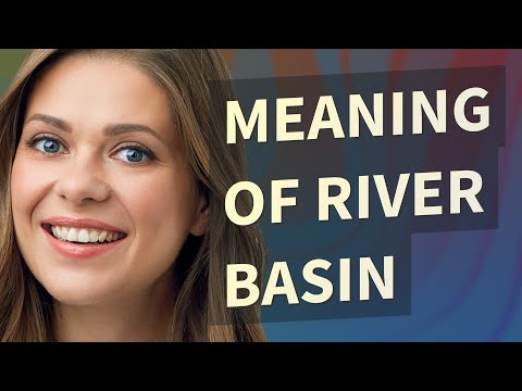 Video: Ano ang river bifurcation?