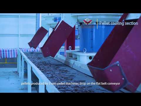 Video Nhà máy sản xuất viên nén nhất nhì Trung Quốc CS 20t/h... - youtube