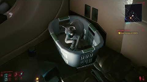 Adopting Nibbles the Cat | Cyberpunk 2077