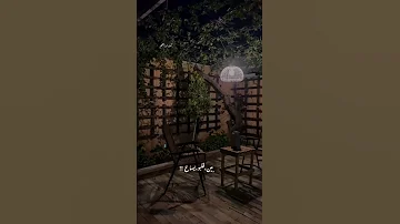 كان لازم أحبك 