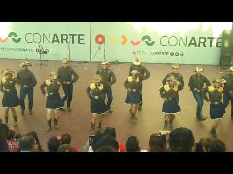 Calabaceados de Baja