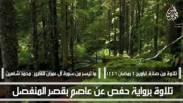 تلاوة من صلاة تراويح 4 رمضان 1446 هــ | ما تيسر من سورة ال عمران للقارئ محمد شاهين