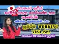 New Working Visa in Japan|ගේමක් නැතුව ජපන් යන්න මෙන්න අලුතෙන් එන සුපිරි Working Visa එක|Sinhala Vlog