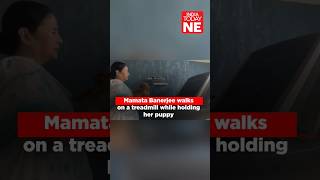 #WATCH: Mamata Banerjee walks on a treadmill while holding her puppy. #mamatabanerjee #viral #shorts