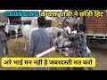 Pushkar Mela 2019-क्रॉसिंग के वक्त घोड़ी ने छोड़ी हिट तो घोड़े का भी नहीं हुआ फिर मन