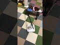 あずきちゃん歩けるようになりました。