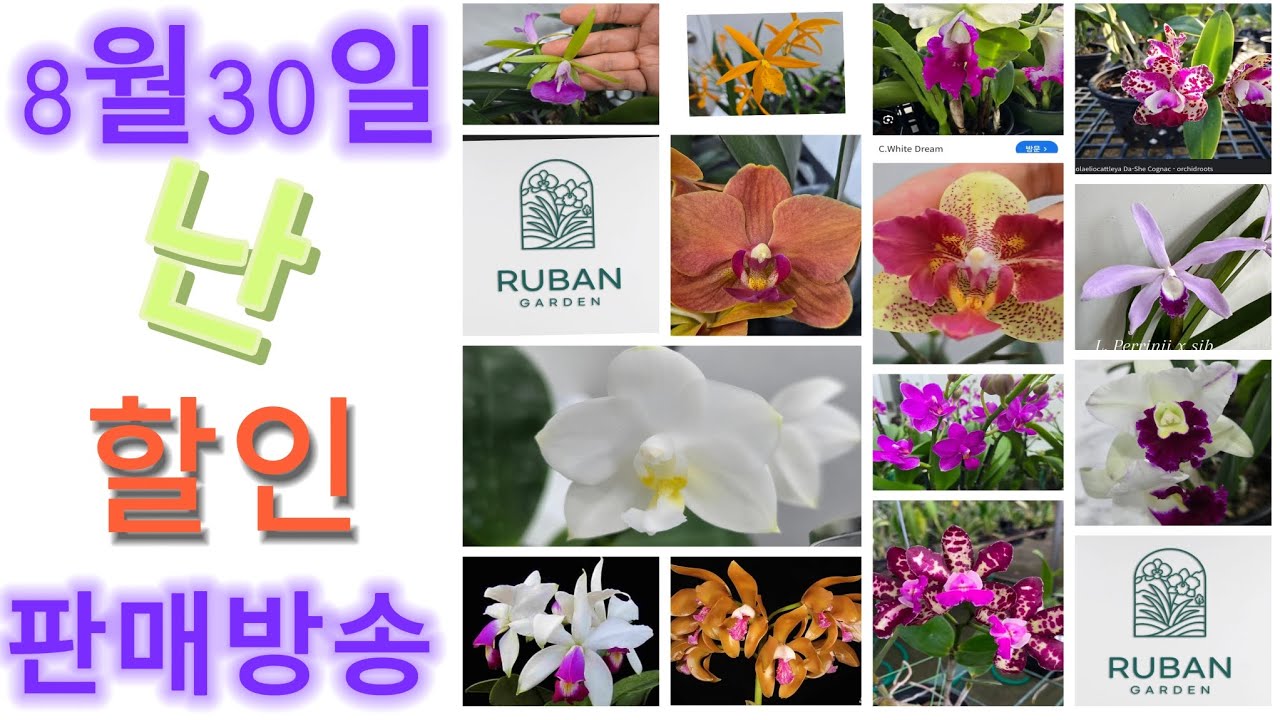 8월30일 토요일 난 부분할인 판매방송 ️ - YouTube