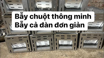 Lồng bẫy chuột thông minh, bẫy cả bầy , giá siêu rẻ