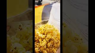 The Best Of New Shorts S Portmaitlanddolly - Best Shorts S 2023. Resimi