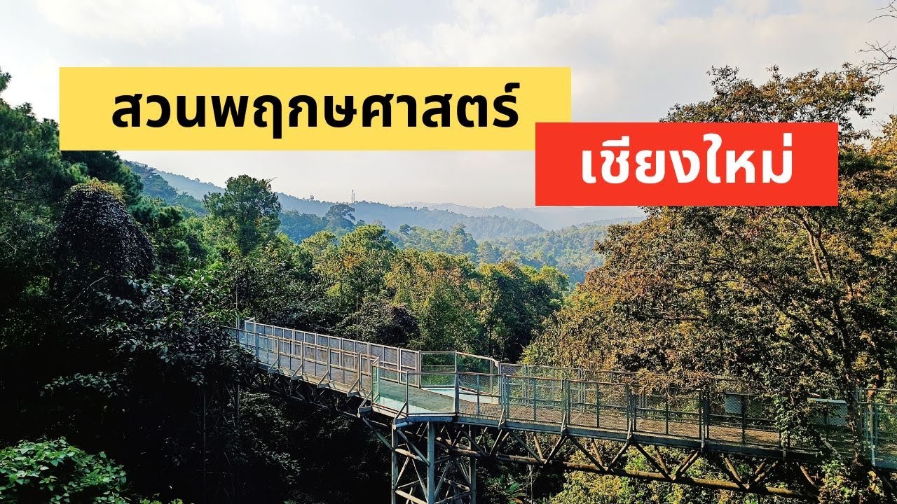 สวนพฤกษศาสตร์สมเด็จพระนางเจ้าสิริกิติ์ แม่ริมเชียงใหม่ กว้างใหญ่สวยงามเป็นแหล่งเรียนรู้ทางธรรมชาติ