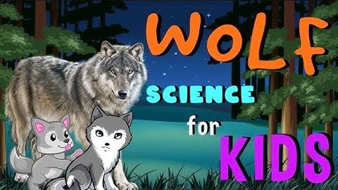 The wolf animal hunting game l #animation #animals #cartoon #games #wolf 