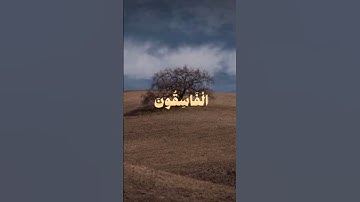 #تلاوة_خاشعة #quran #راحة_نفسية #قرآن #استغفر_الله #قران_كريم اجر لي ولكم♥️