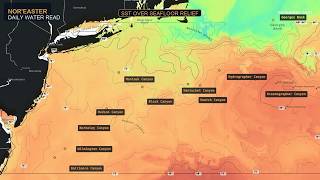 Northeast Offshore Water Read: SST, Currents & Chlorophyll | July 29