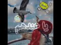 في وجهي يضحكوا في ضهري يقطيعوا يا عندهم   جديد الشابة ابتسام من تصميمي