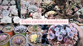 Expo cactus y suculentas Queretato