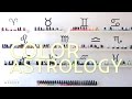 Get an Amazing Manicure with an Astrology Twist | The SASS with Sharzad and Susan